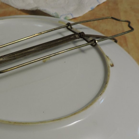 DECORATIVE PLATE 11" diameter wall hanger included - Picture 5 of 7